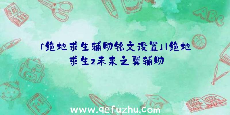 「绝地求生辅助铭文设置」|绝地求生2未来之翼辅助